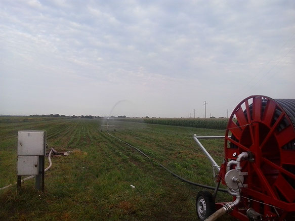 zalivanje s tifonom!