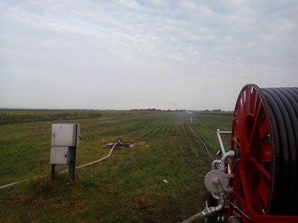 prodaja turbina , beskonacnih navoja. remontovanje tifona
